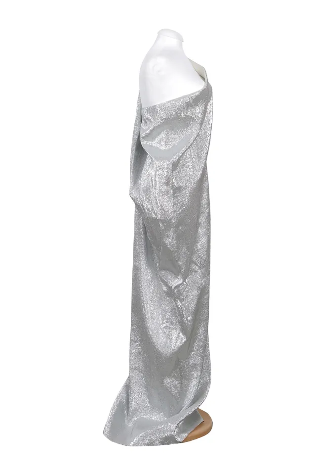 Maison Rabih Kayrouz Silver Metallic Gown