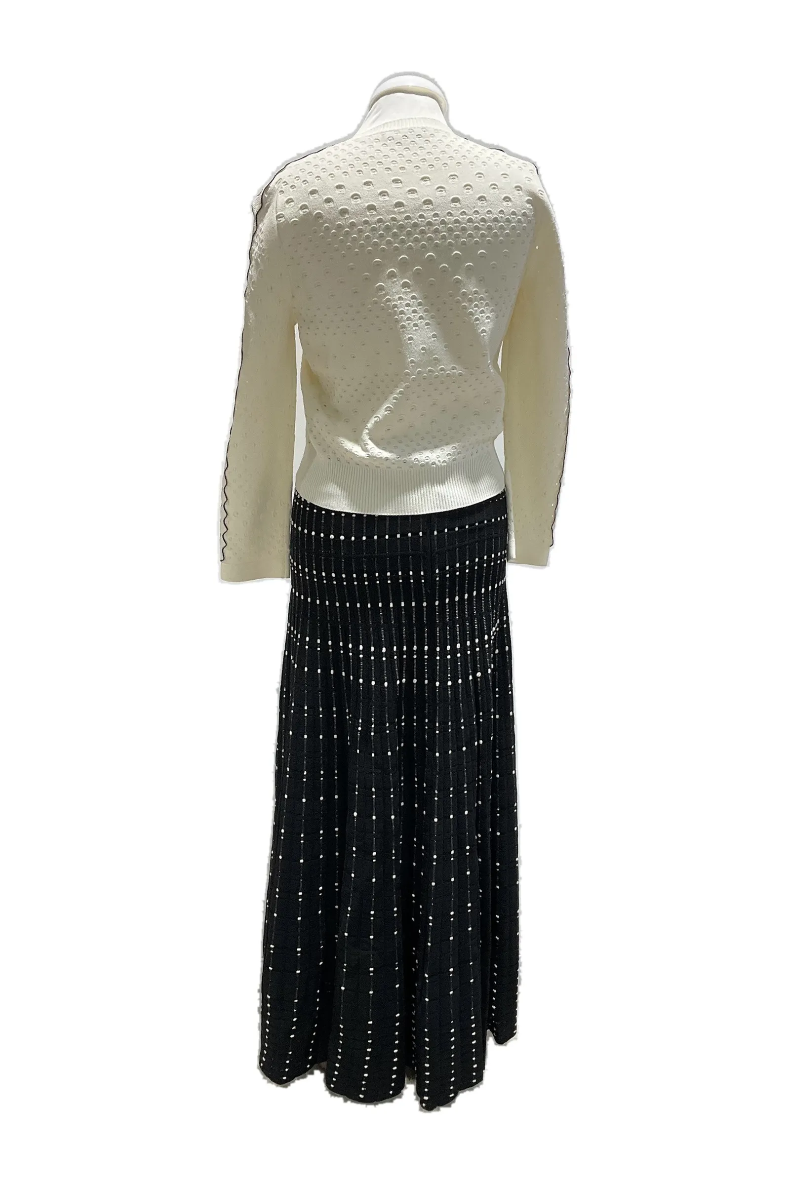 Alexander McQueen Ivory Sequined Two-Piece Set